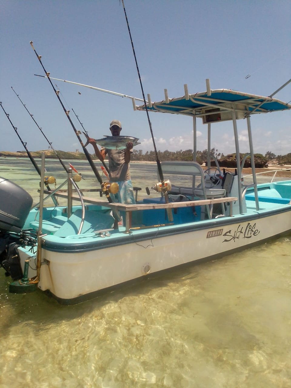 Deep Sea Sport Fishing