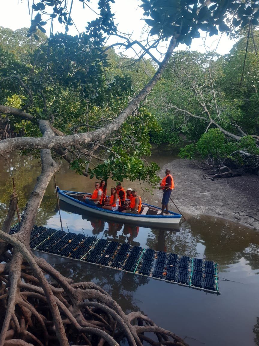 Mangrove Canoe at Sunset